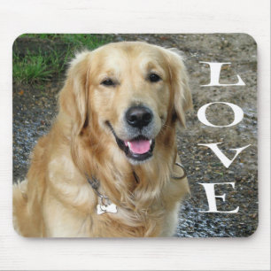 Mousepad Ouro Adquirente Cão Adormecido