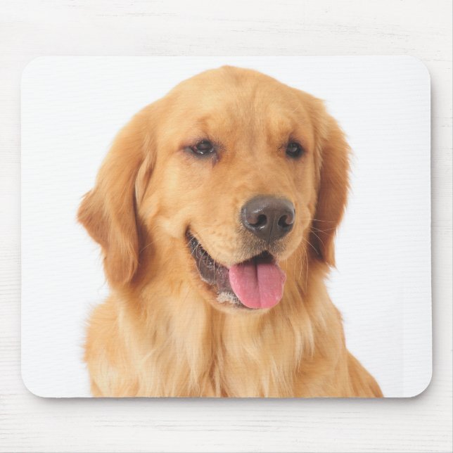 Mousepad Ouro Adquirente Cão Adormecido (Frente)