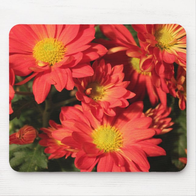 Mousepad Ouro, flores de margarida cor laranja. (Frente)