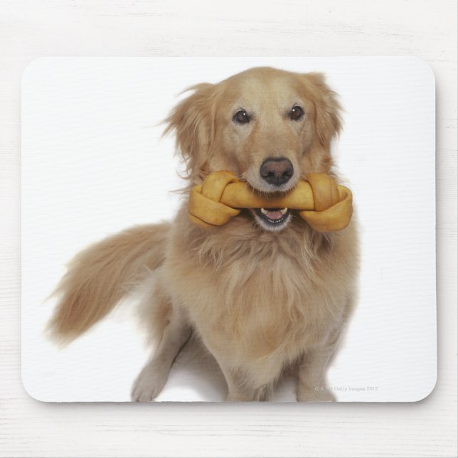 Mousepad Ouro Retriever Cachorro com osso na boca (Frente)