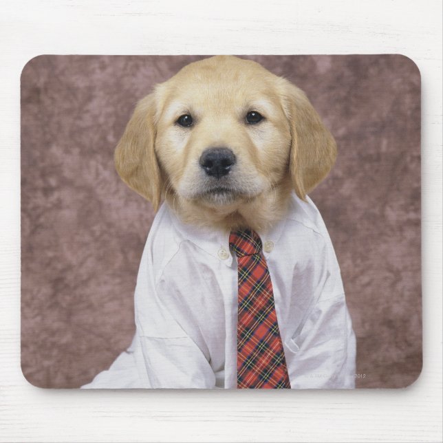 Mousepad Ouro Retriever; é relativamente moderno e (Frente)