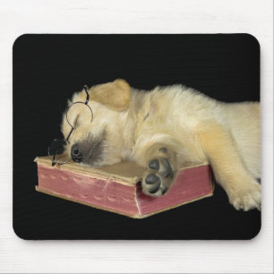 Mousepad Ouro Retriever filhote no livro