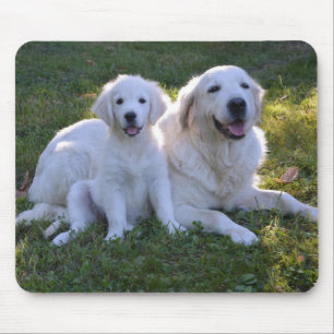 Mousepad Ouro Retriever Mãe e Puppy