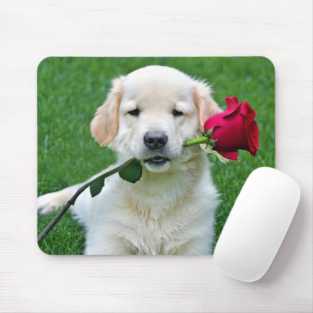 Mousepad Ouro Retriever Puppy com Rosa vermelha (Com mouse)