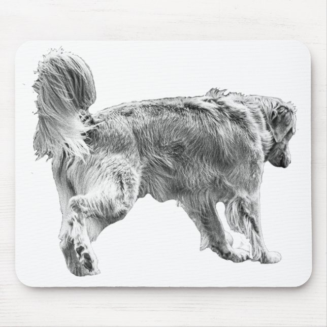 Mousepad Ouro silencioso da secretária (Frente)