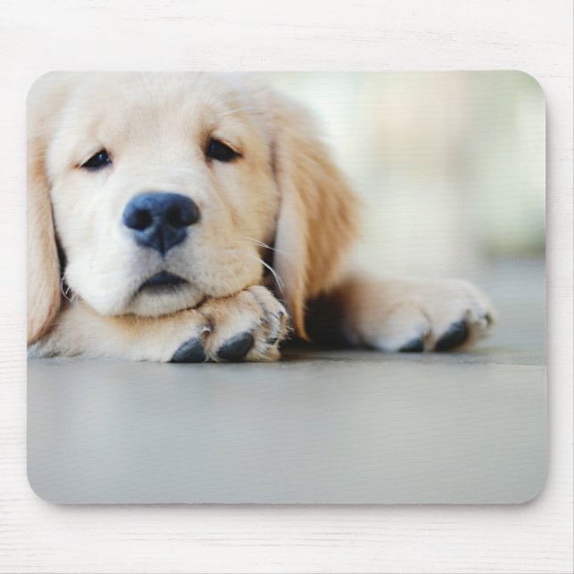 Mousepad Ouro Sonolento Retriever Puppy (Frente)