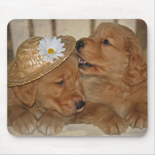 Mousepad Ouros patetas