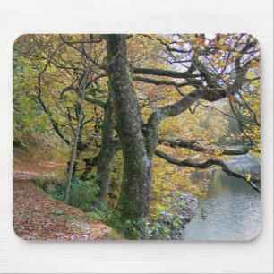 MOUSEPAD OUTONO