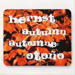 Mousepad Outono em Floresta