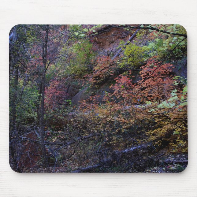 Mousepad outono em Sedona (Frente)