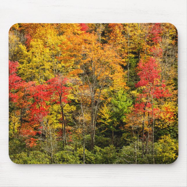 Mousepad Outono em Sims Pond North Carolina, Blue Ridge (Frente)