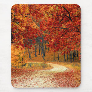 Mousepad outono na floresta