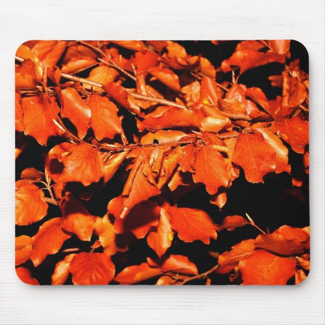 Mousepad Outono na Floresta (Frente)