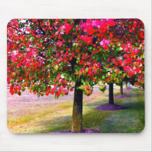 Mousepad Outono rosa deixa árvores