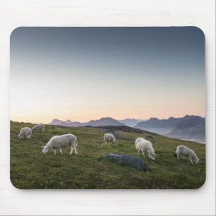 Mousepad Ovelha