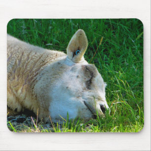 MOUSEPAD OVINO