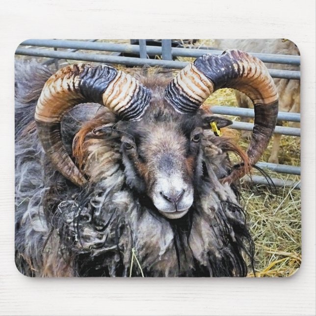 MOUSEPAD OVINO (Frente)