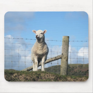 MOUSEPAD OVINO DE BOVINO