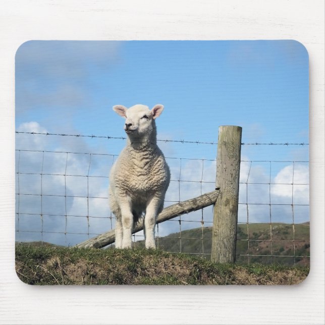 MOUSEPAD OVINO DE BOVINO (Frente)