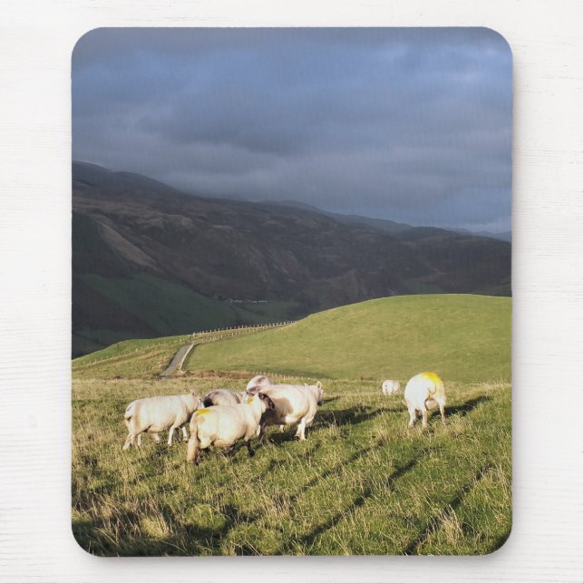 MOUSEPAD OVINO DE MONTANHA (Frente)