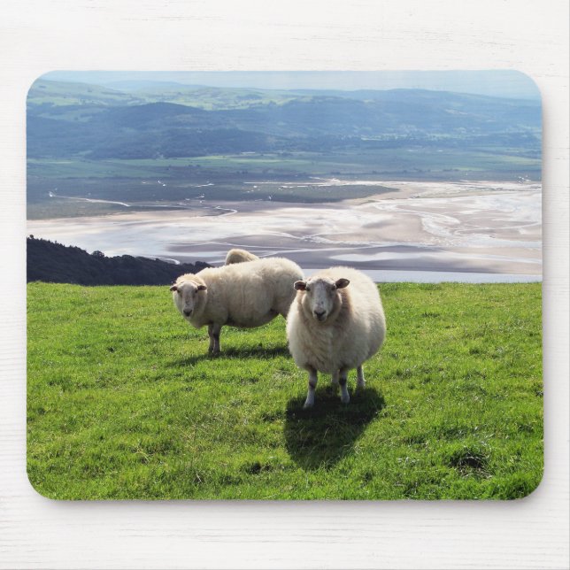 MOUSEPAD OVINO DE MONTANHA DE WELSH (Frente)