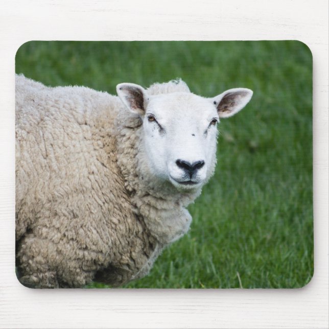 Mousepad Ovinos Bons (Frente)
