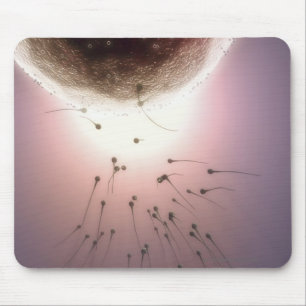 Mousepad Ovo que está sendo fertilizado pelo esperma