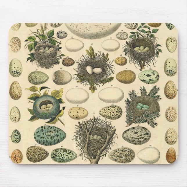 Mousepad Ovos De Pintura De Ninho De Aves Vintage (Frente)