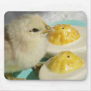 Mousepad Ovos Pintinhos e Devilados 2