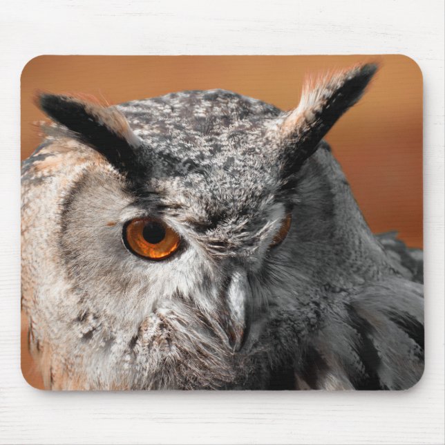 Mousepad Owl Stare (Frente)