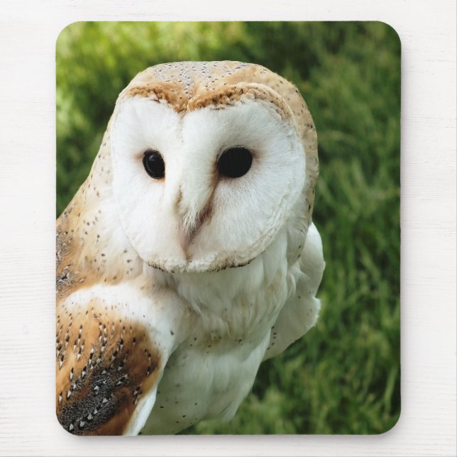 MOUSEPAD OWLS (Frente)