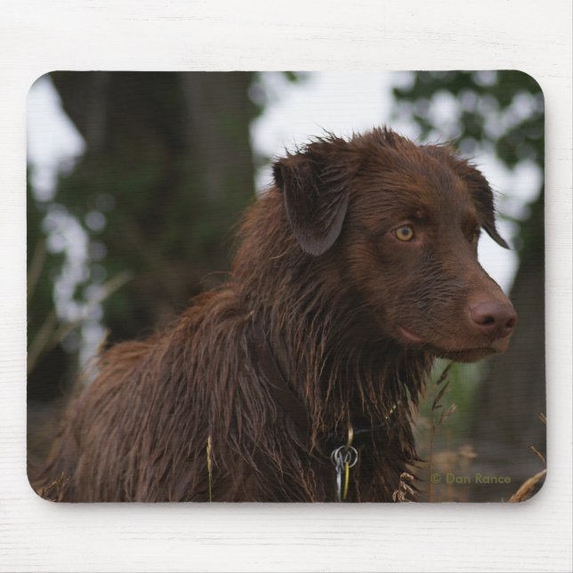 Mousepad P2 Cão Vermelho Sam Flatlandersam (Frente)
