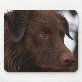 Mousepad P2a Red Dog Sam Flatlandersam De Perto
