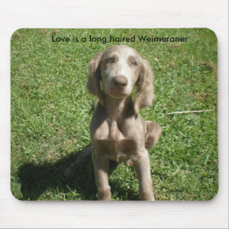 Mousepad P3091298, amor é um Weimaraner de cabelos
