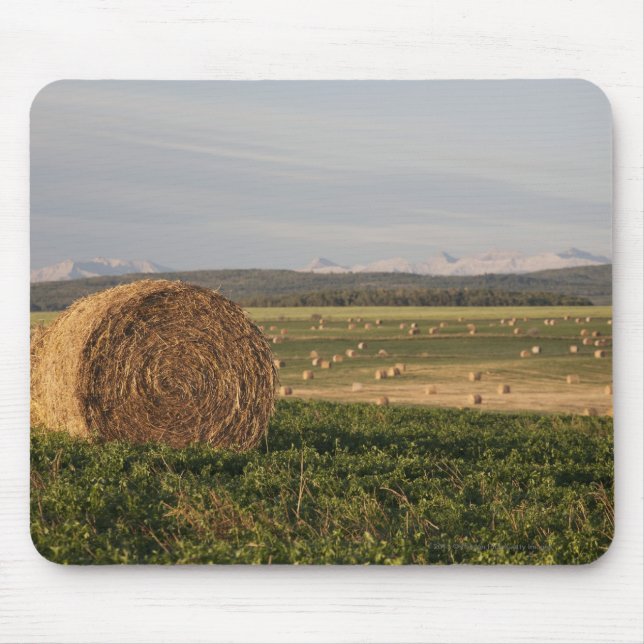 Mousepad Pacotes de feno em um campo com as montanhas no (Frente)