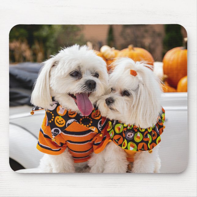 Mousepad Pad Colorido do Mouse Cães (Frente)