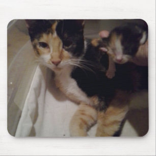 Mousepad Pad de Mama e Rato Bebês