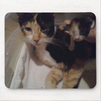 Mousepad Pad de Mama e Rato Bebês