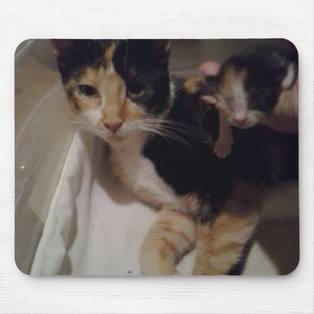 Mousepad Pad de Mama e Rato Bebês (Frente)