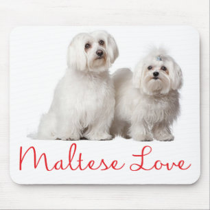 Mousepad Pad de Mouse Cachorro Branco Maltês