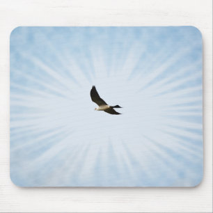Mousepad Pad de Mouse de Arte de Pássaro do Mississippi Kit