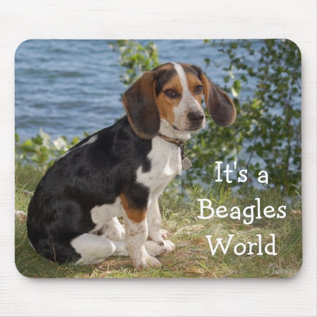 Mousepad Pad De Mouse De Cão De Beagle (Frente)