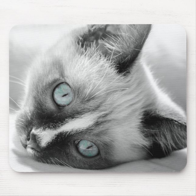 Mousepad Pad de Mouse de Gatinho Azul (Frente)