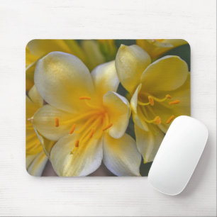 Mousepad Pad de Mouse Dourado Amarelo Flores de Lily Garden