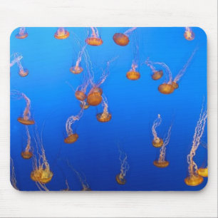 Mousepad Pad de Rato de Água-Viva Laranja