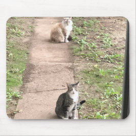 Mousepad Pad de Rato de Gato