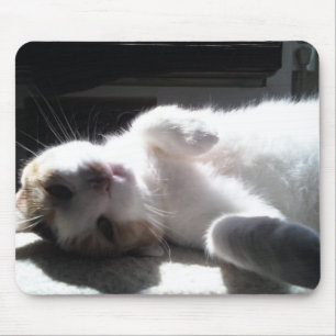 Mousepad Pad de Rato de Gato!