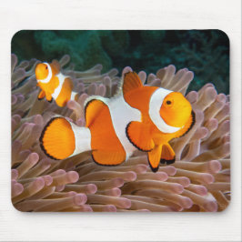 Mousepad Pad de Rato de Peixe Palhaço