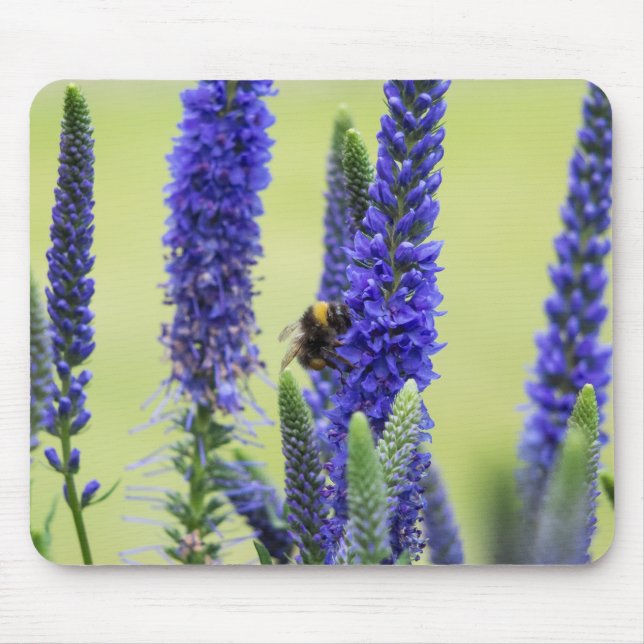 Mousepad Pad do mouse (Frente)