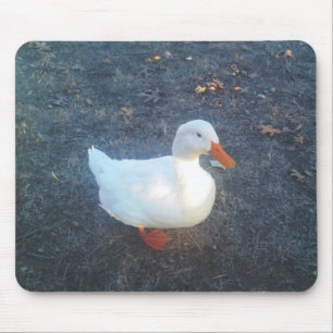 Mousepad Pad do mouse